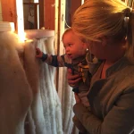 Havelock PRO - Professional Grade R22 Batt Wool Insulation - Image 4