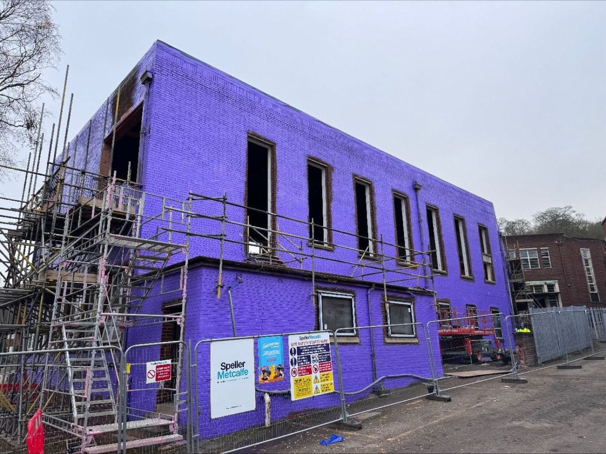 Passive Purple Internal - 11.4kg XL - Image 4